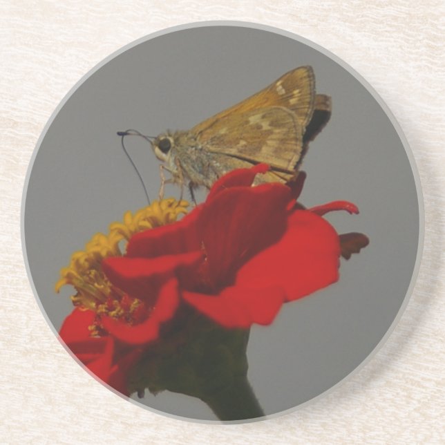 Moths and Red Zinnia Coaster (Front)