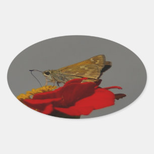 Moths and Red Zinnia Oval Sticker