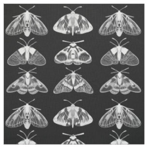 Moths in Black, White and Grey Fabric