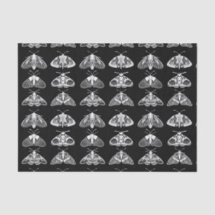 Moths in Black, White and Grey Tissue Paper