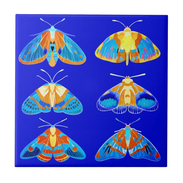 Moths in Dark Blue, Orange and Turquoise small Tile (Front)