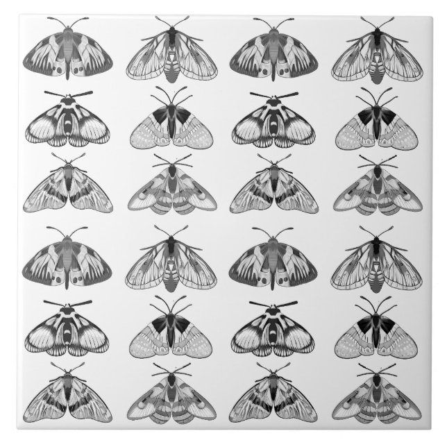 Moths in Grey, Black and White  Tile (Front)