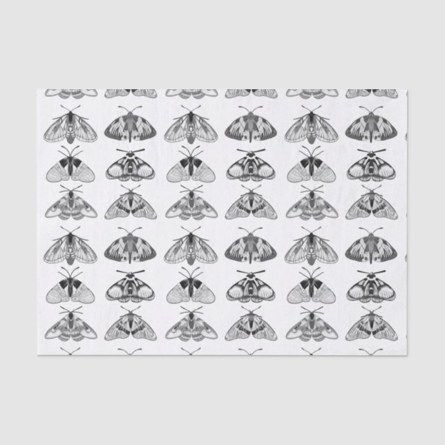 Moths in Grey, Black and White Tissue Paper (Front)