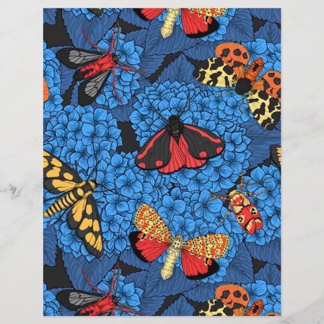 Moths on blue hydrangea (Front)