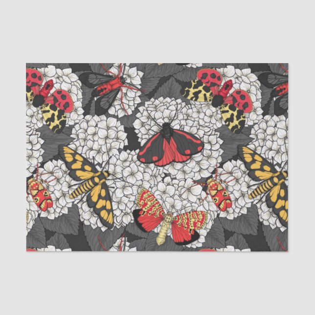 Moths on white hydrangea tissue paper (Front)