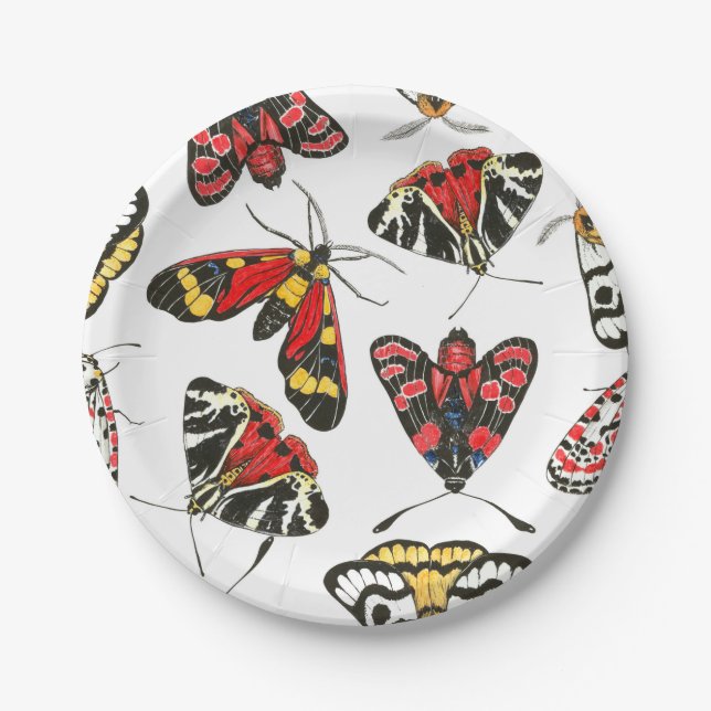 Moths Paper Plate (Front)