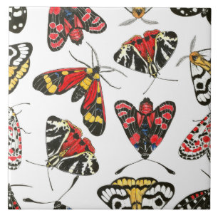 Moths Tile
