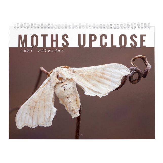 MOTHS UPCLOSE 2021 CALENDAR (Cover)