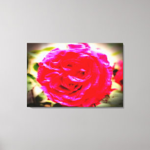 MOTION COLOR of a rose Canvas Print