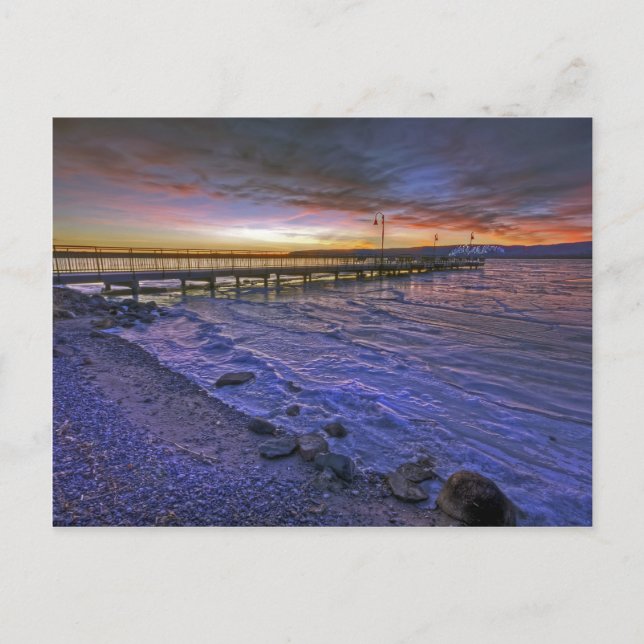 Motionless Emotion Postcard (Front)