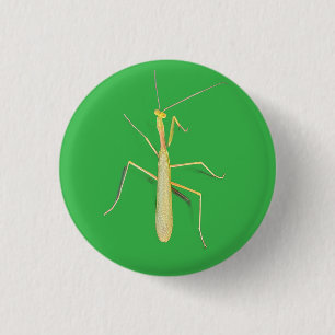 Motionless Mantis, 3 Cm Round Badge