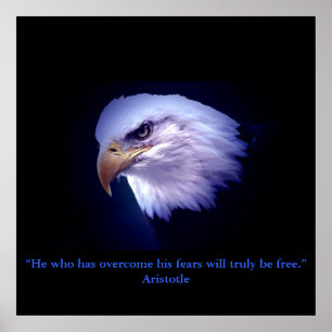Motivational Courage Eagle Eyes Poster Print
