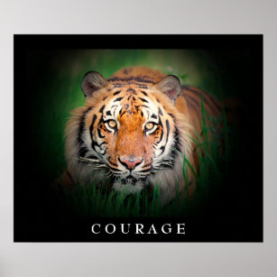 Motivational Courage Tiger Eyes Poster
