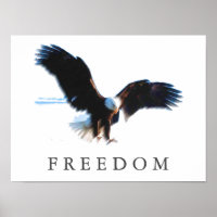 Motivational Freedom Eagle Landing