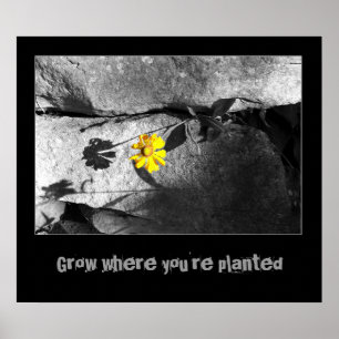 Motivational "Growth" Poster