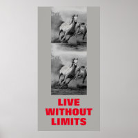 Motivational Horses Live Without Limits Pop Art