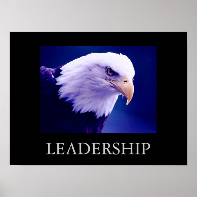 Motivational Leadership Eagle Eyes Poster (Front)
