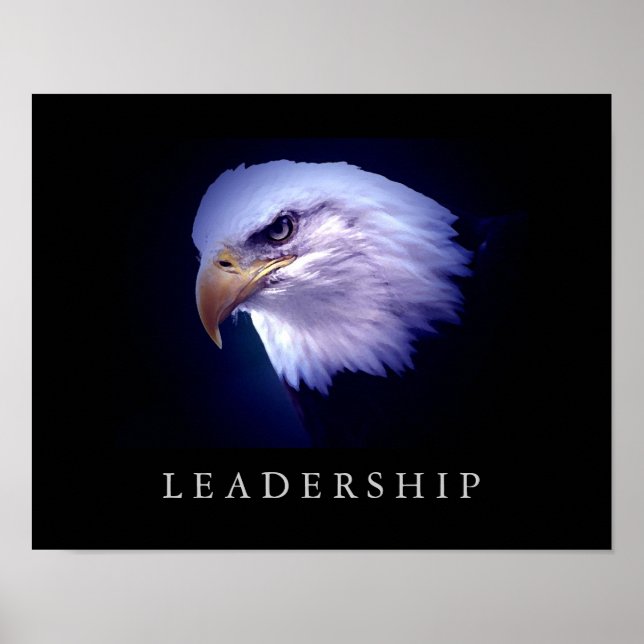 Motivational Leadership Eagle Eyes Poster (Front)