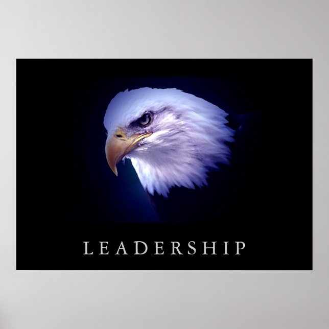Motivational Leadership Eagle Eyes Poster (Front)