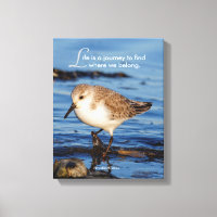 Motivational "Life is a Journey" Sanderling