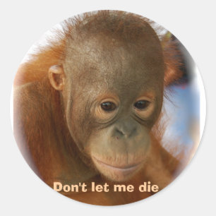 Motivational Love for All Animal Life Classic Round Sticker