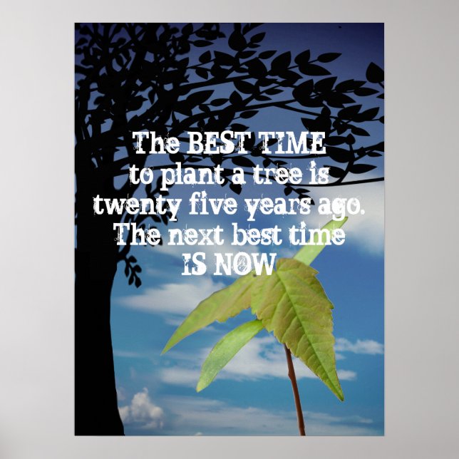Motivational Plant A Tree Quote Poster (Front)