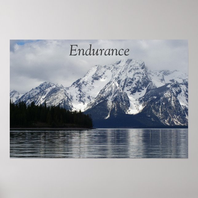 Motivational Poster-Endurance Poster (Front)
