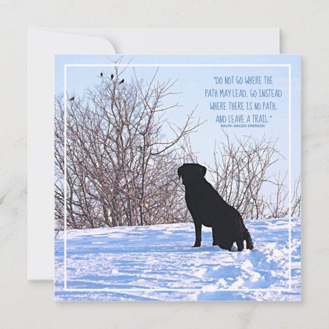 Motivational Quote - Inspirational Life Quote (Front)