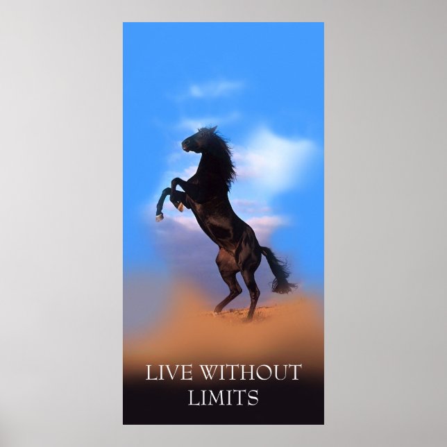 Motivational Rearing Horse Live Without Limits Poster (Front)