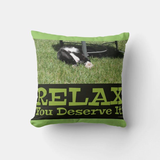 Motivational Relax Cat Epic Slogan Cushion (Front)