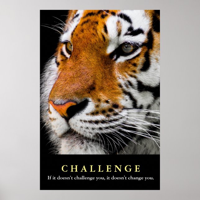 Motivational Tiger Face Challenge Quote Poster (Front)