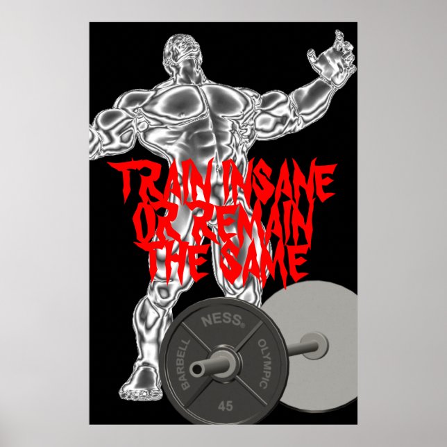 Motivational Train Insane Weightlifting Poster (Front)
