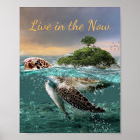 Motivational Turtle Quote Live in the Now