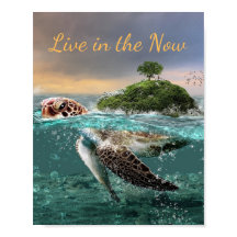 Motivational Turtle Quote Live in the Now