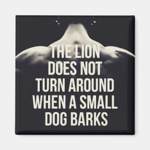 Motivational Words - The Lion Does Not Turn Around Magnet
