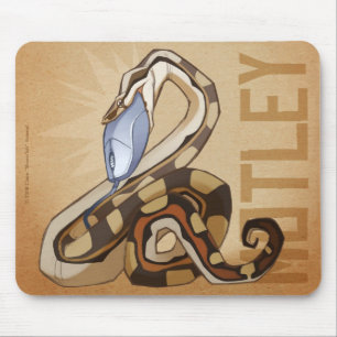 Motley BCI Mousepad