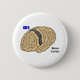 Motor Cortex 6 Cm Round Badge
