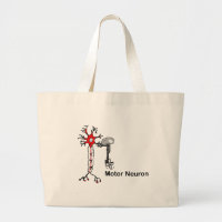 Motor Neuron