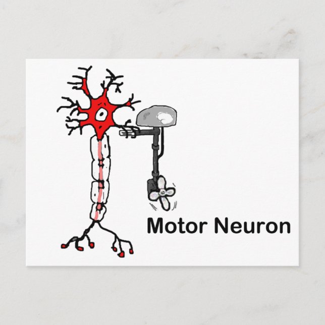 Motor Neuron Postcard (Front)