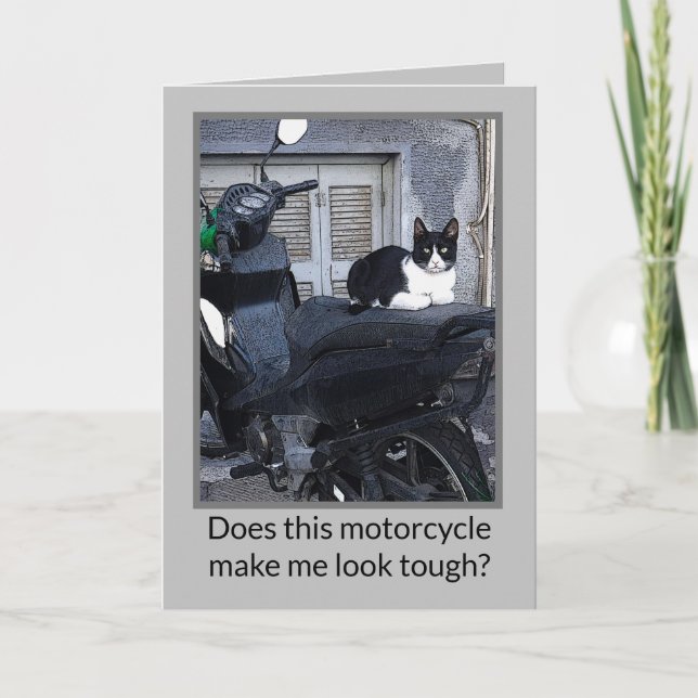 MOTORCYCLE CAT /HUMOR NOTE CARD (Front)