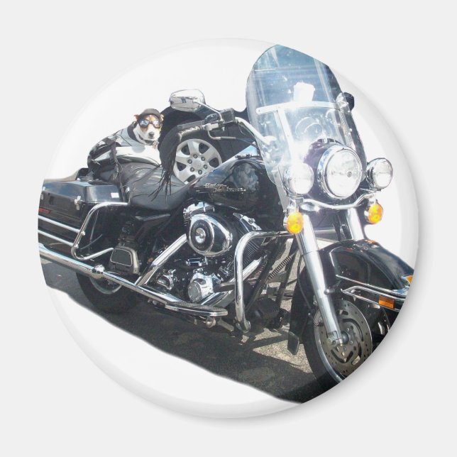 Motorcycle Hog Dog Born To Ride Russell Terrier Magnet (Front)
