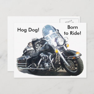 Motorcycle Hog Dog Born To Ride Russell Terrier Postcard