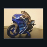 Motorcycle Toad Postcard<br><div class="desc">Best biker ever</div>