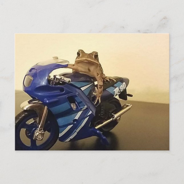 Motorcycle Toad Postcard (Front)