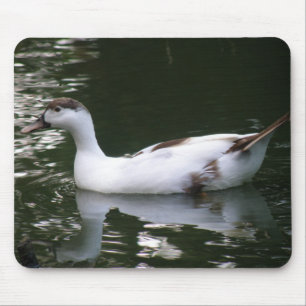 Mottled Duck Mousepad