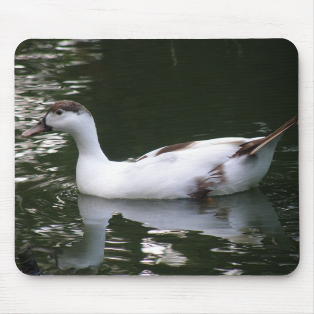 Mottled Duck Mousepad (Front)