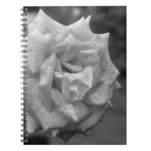 Mottled Rose Flower In BW Notebook