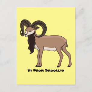 Mouflon goat illustration  postcard
