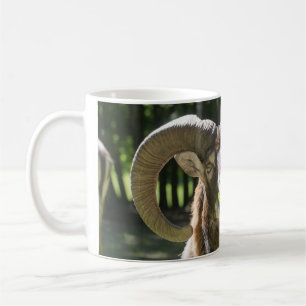 Mouflon Ram Coffee Mug