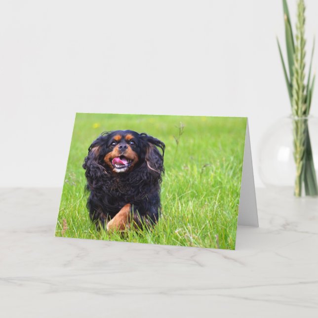 Moulder. Cavalier King Charles Spaniel Thank You Card (Front)